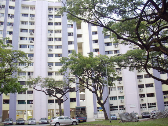 Jurong East Street 32 thumbnail photo